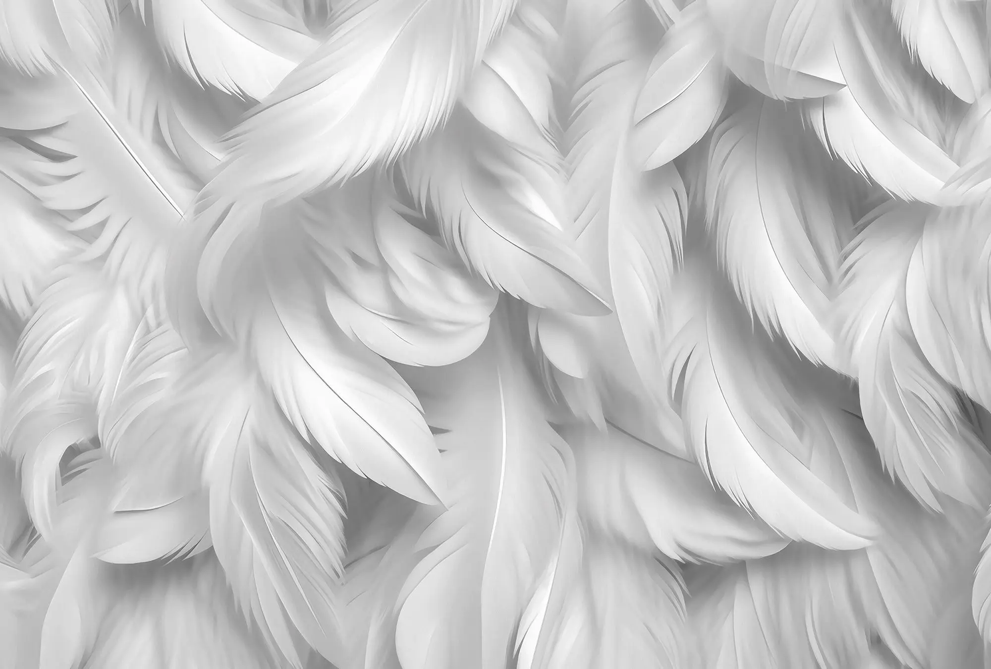 wallpapper