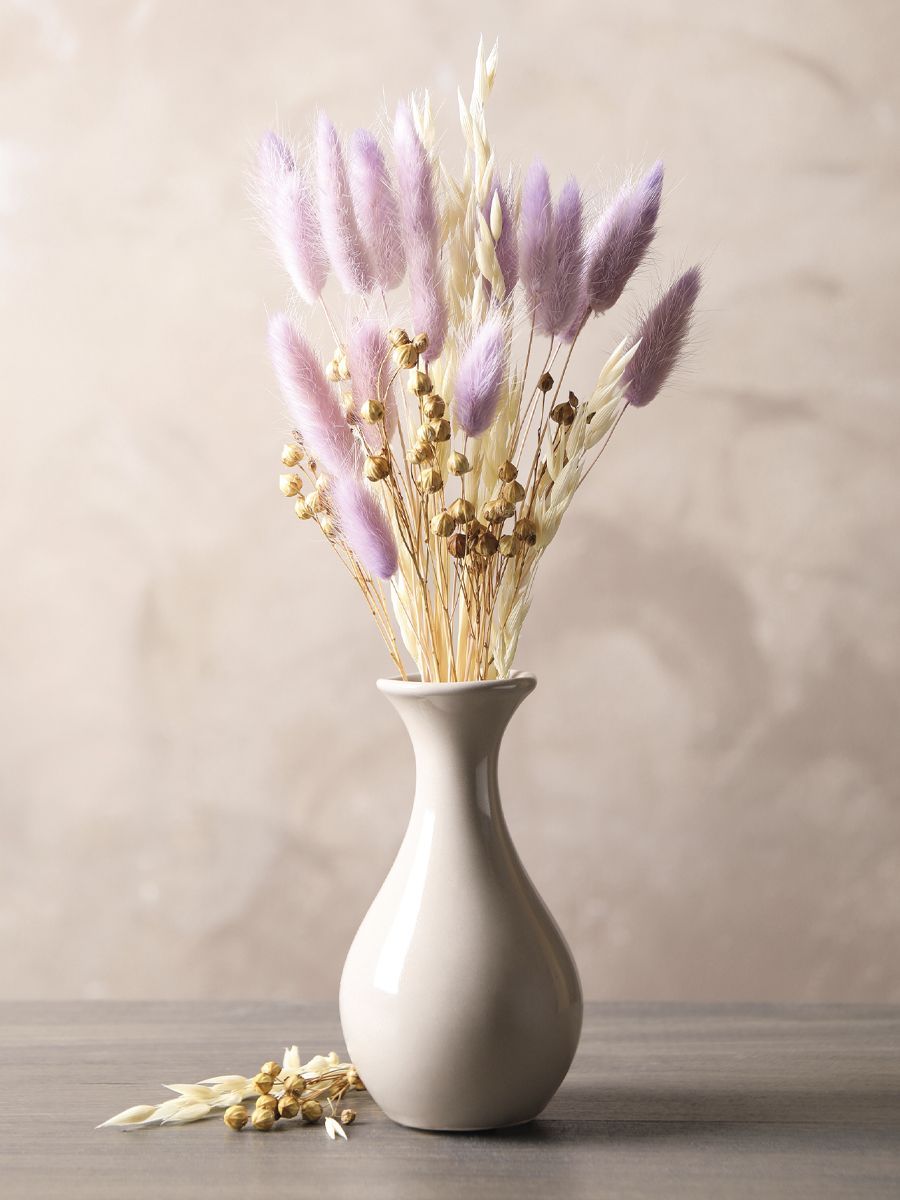 Тигр и бабочка