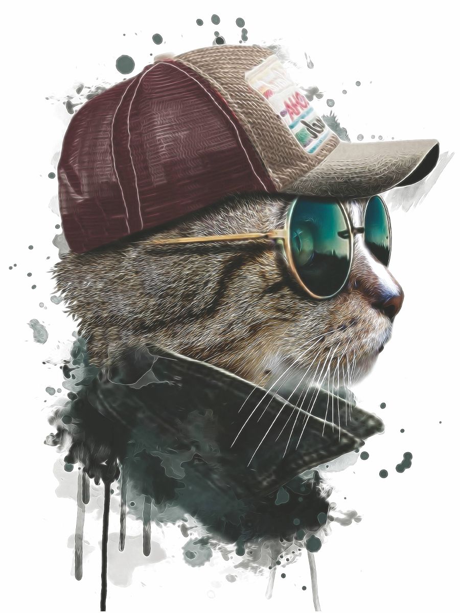 Стильный кот