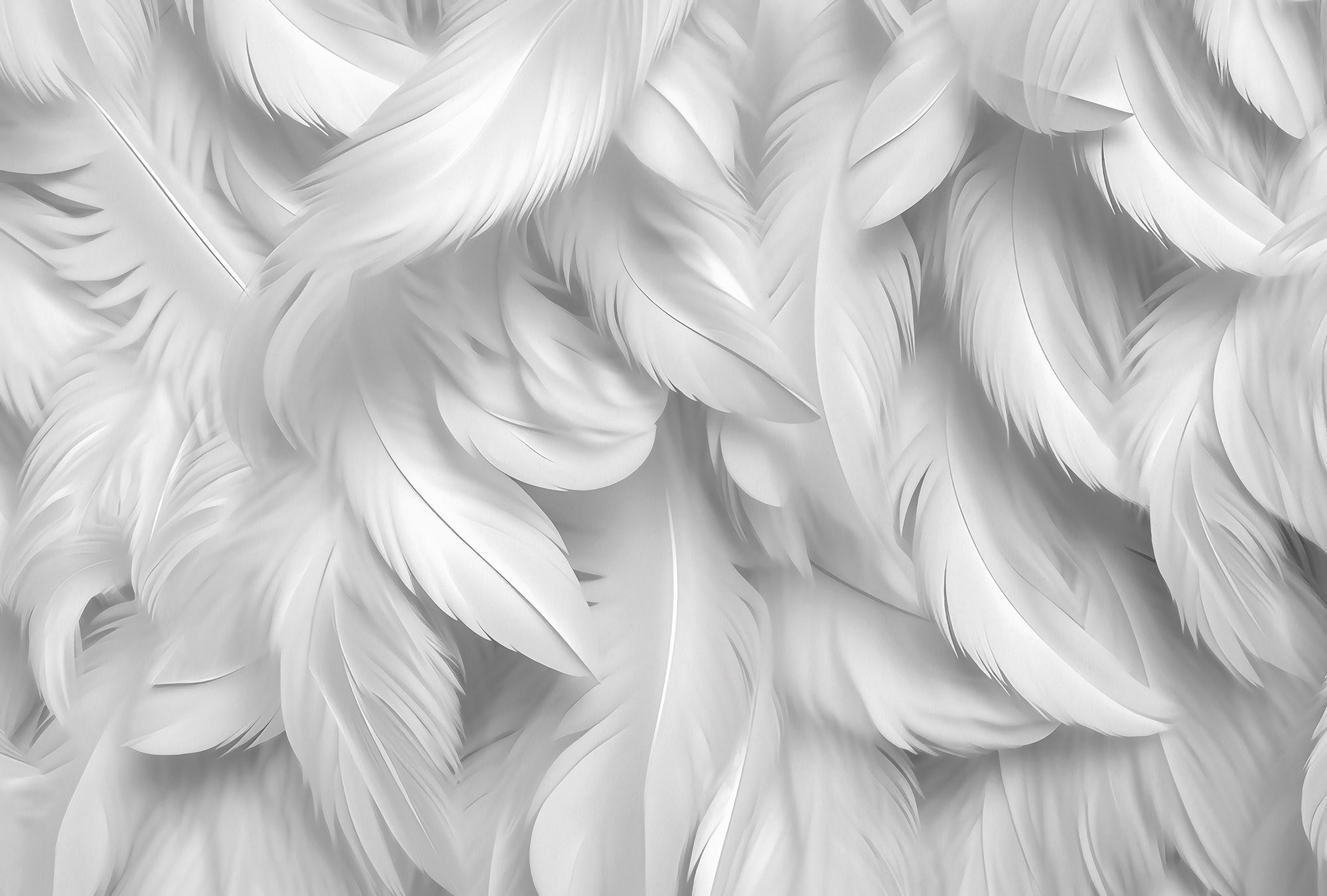 wallpapper