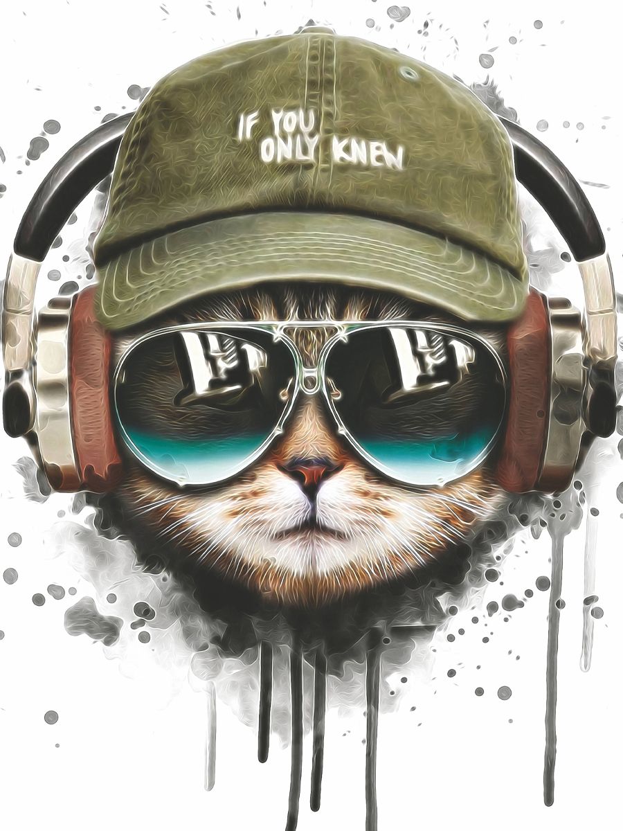 Кот-хипстер