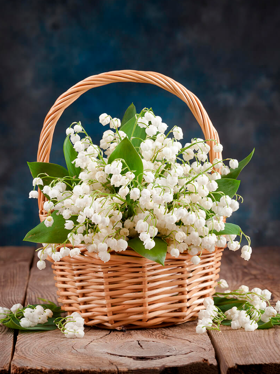 Цветы в корзине