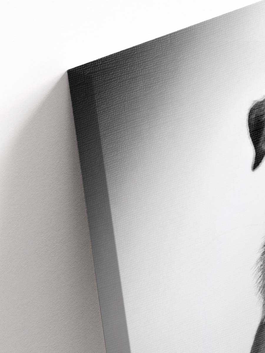 Мопс