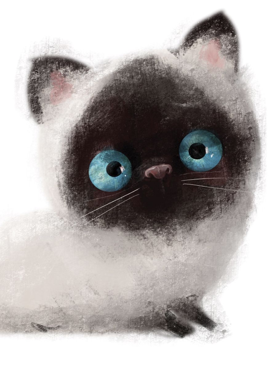 Котик