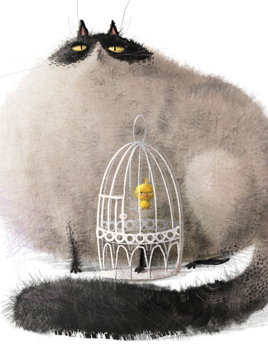 Котик