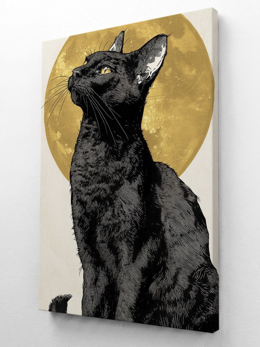Чёрный кот