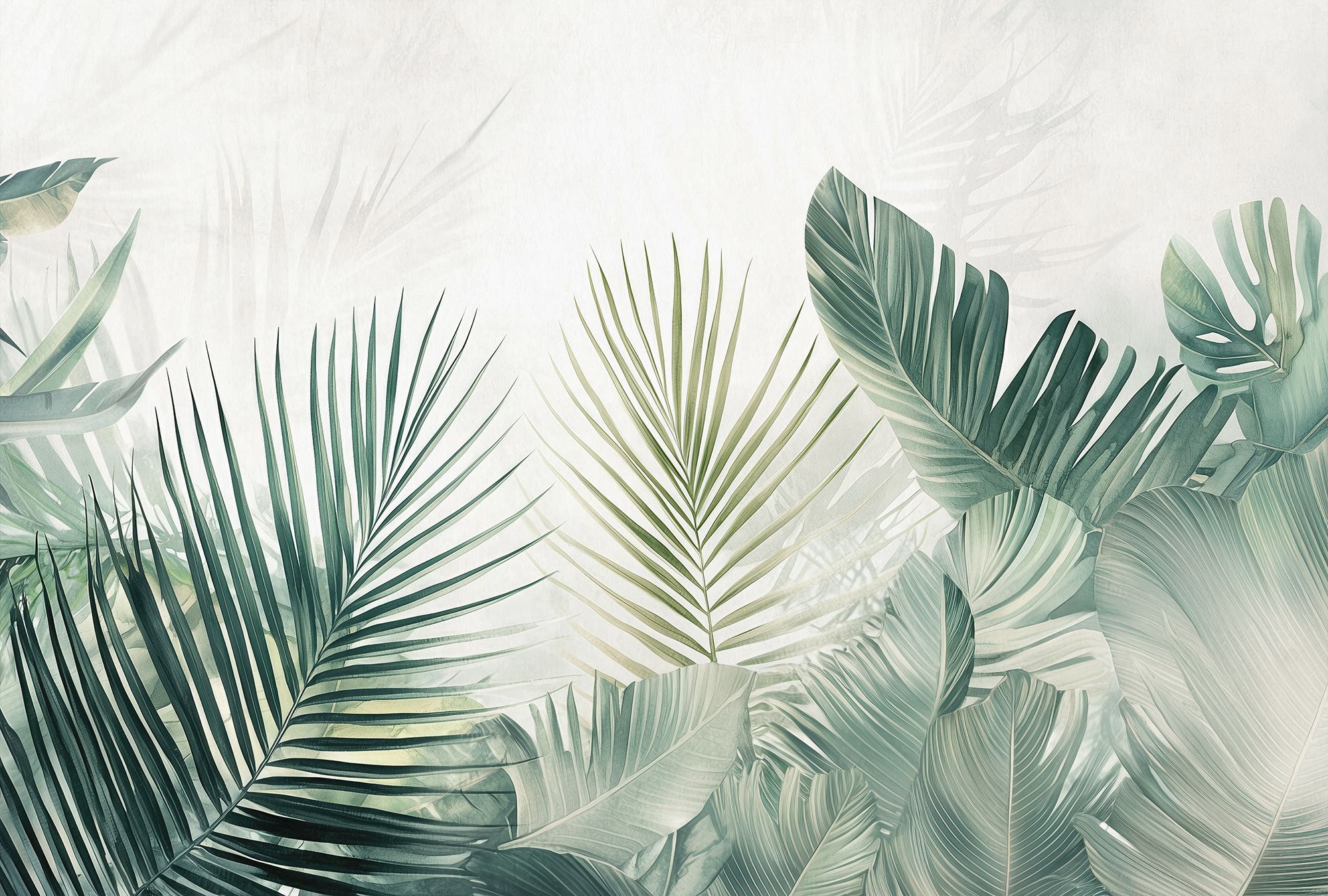 wallpapper