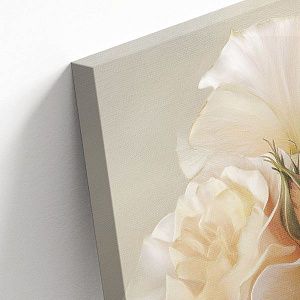 Французская роза