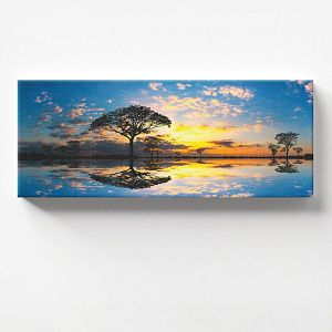 Закат в саванне