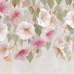 Цветы ипомеи