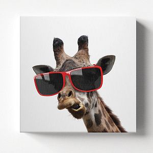 Жираф в очках