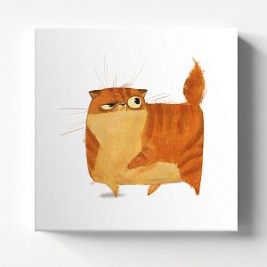 Внимательный кот