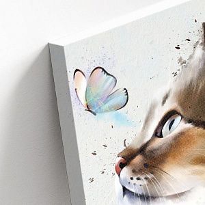 Кот и бабочка