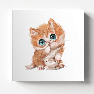 Милый котик