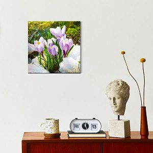 Подснежники