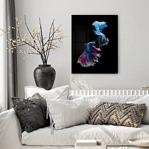 Танец бойцовых рыбок