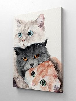 Три кота