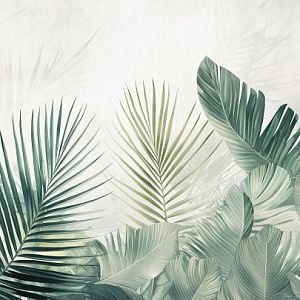 Туманные джунгли