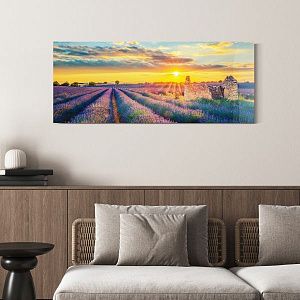 Лавандовое поле