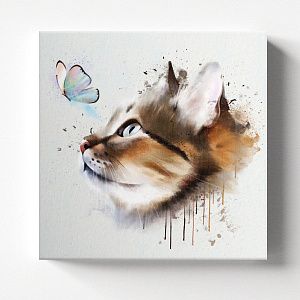 Кот и бабочка