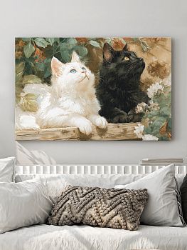Котята