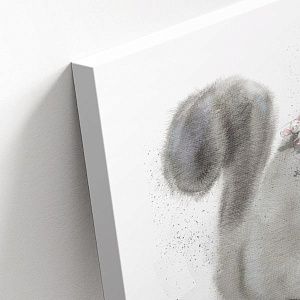 Пугливый котик