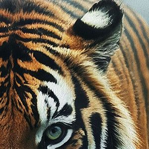 Тигр в городе