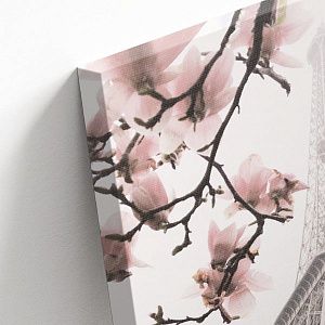 Париж в розовом оттенке