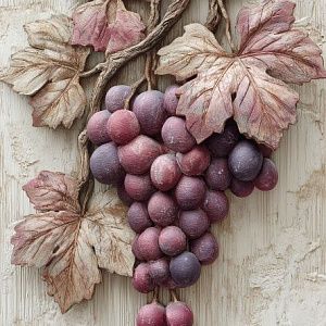 Виноградная ветвь