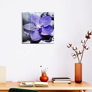 Голубая орхидея