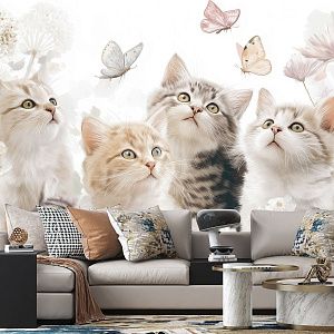 Нежные котята