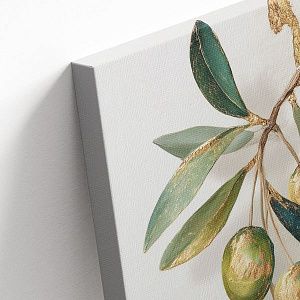 Оливковая ветвь