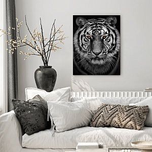 Амурский тигр