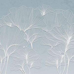 Листья Гинкго