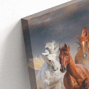 Табун лошадей