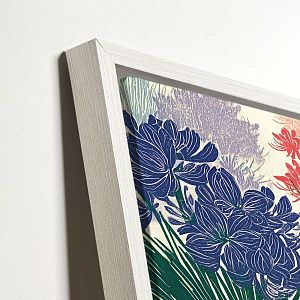 Цветение ирисов