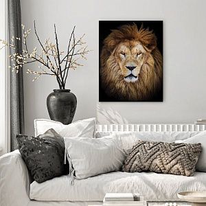 Африканский лев