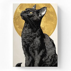 Тайна чёрной кошки