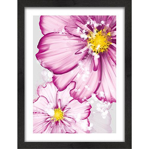 Фиолетовая красота, цветы