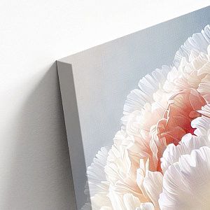 Пышный пион