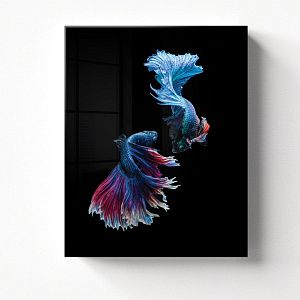 Танец бойцовых рыбок