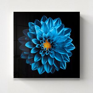 Синий цветок