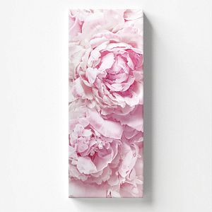 Розовые цветы. Пионы