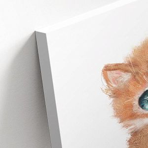 Милый котик