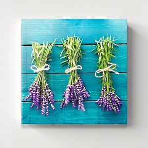 Свежая лаванда