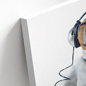 Пёс в наушниках