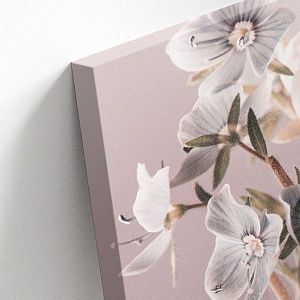 Розовые цветы