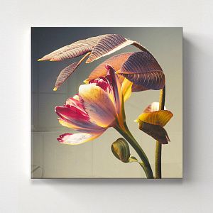 Цветочная композиция