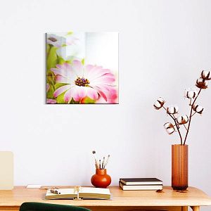 Розовые цветы