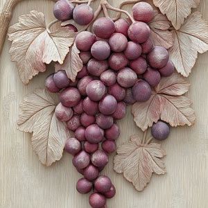 Виноградная ветвь